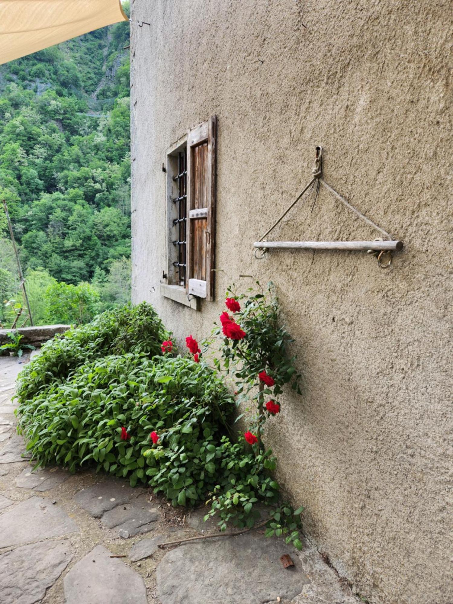 Contea Del Piano Villa Piteglio Exterior photo